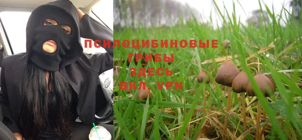 прущие крисы Богданович